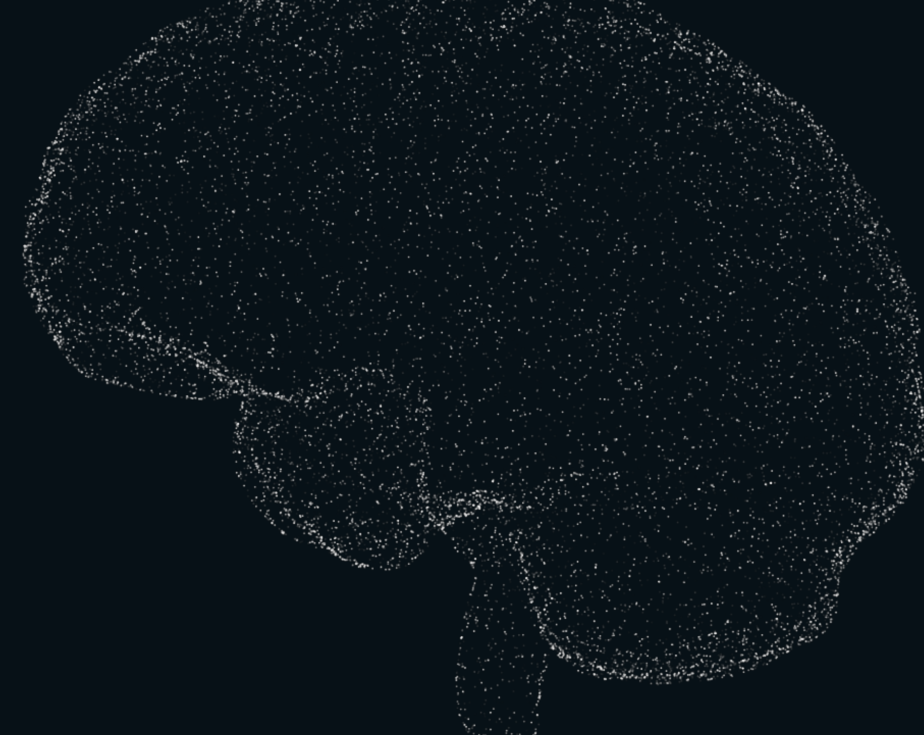 The Danish Brain Council