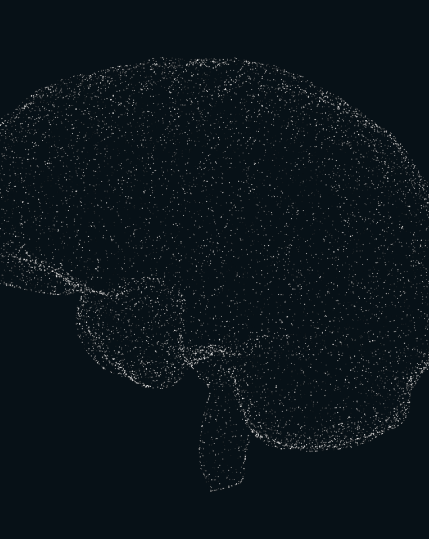 The Danish Brain Council